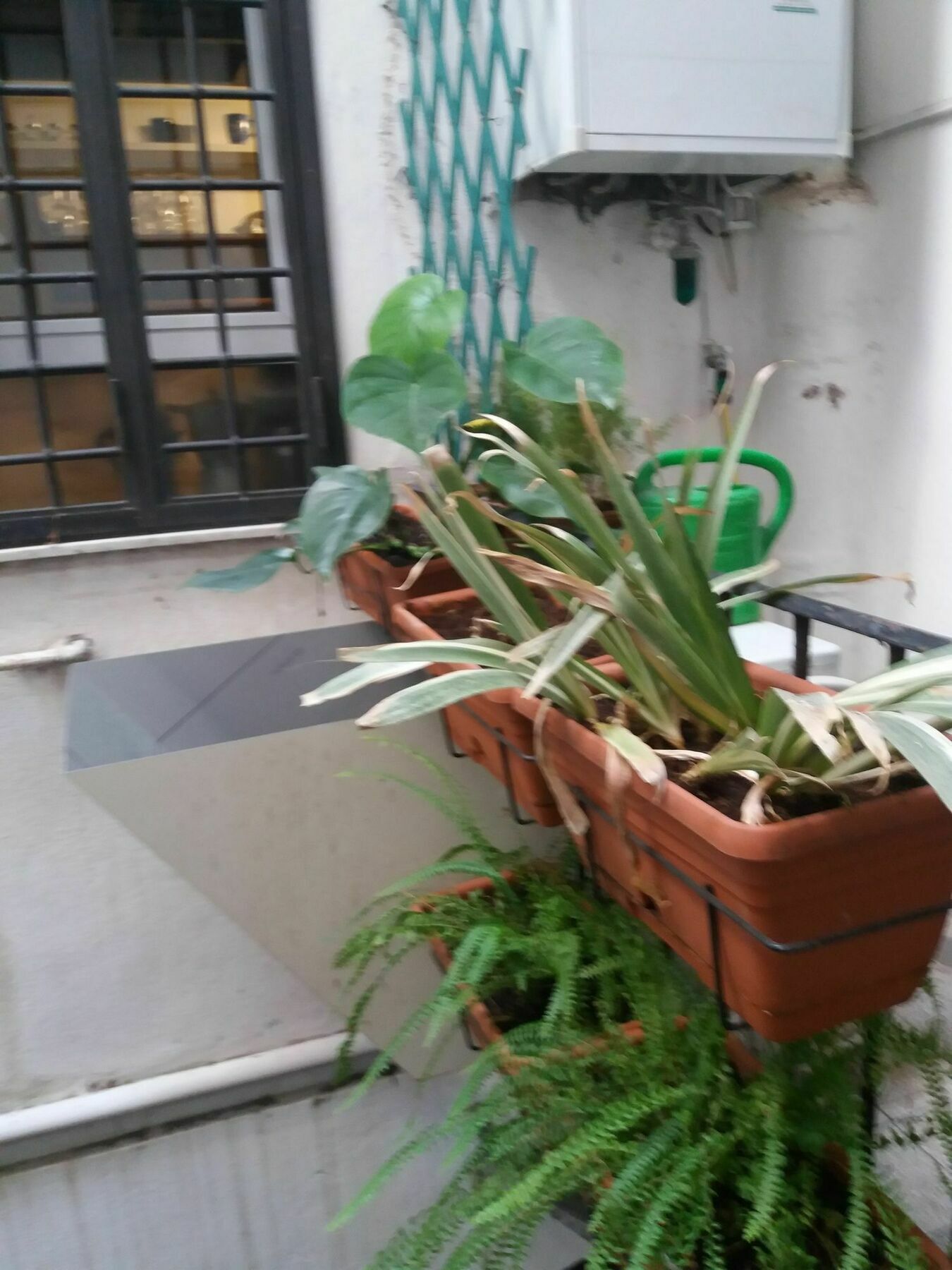 Campofiori Apartment โรม ภายนอก รูปภาพ